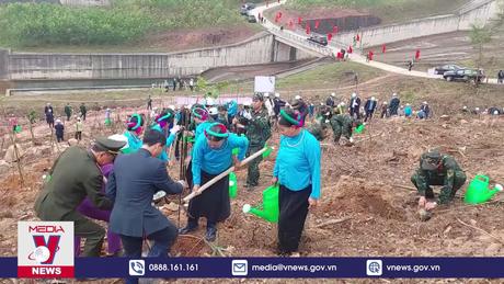 Quảng Ninh sẽ trồng 1 triệu cây xanh dịp Tết