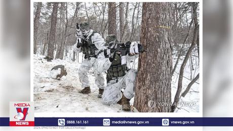 Mỹ - Hàn tập trận mùa Đông