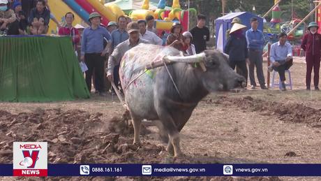 Hà Nam mở Hội thi Cày giỏi