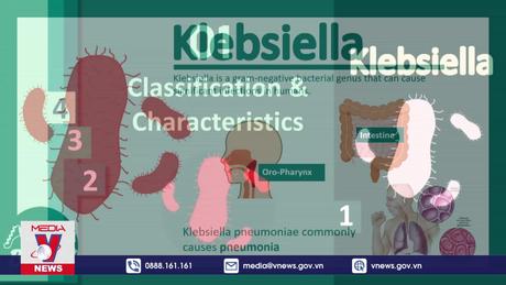 Châu Âu đối mặt siêu vi khuẩn kháng thuốc mới