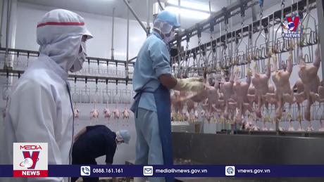 Cơ hội xuất khẩu thịt gia cầm sang Trung Quốc 