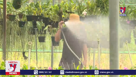 Bản tin thời sự 8h ngày 18/02/2024