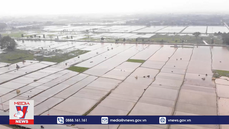 Đồng bằng Sông Hồng khẩn trương gieo cấy vụ Đông Xuân