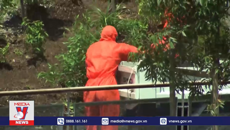 Australia nỗ lực giải quyết ô nhiễm amiăng tại Sydney