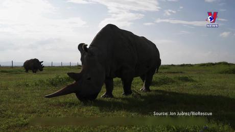 Tạp chí toàn cầu số 875 ngày 19/02/2024