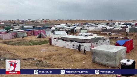 Vai trò của Nhà nước Palestine đối với ổn định khu vực