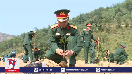 Quân khu III phát động Tết trồng cây