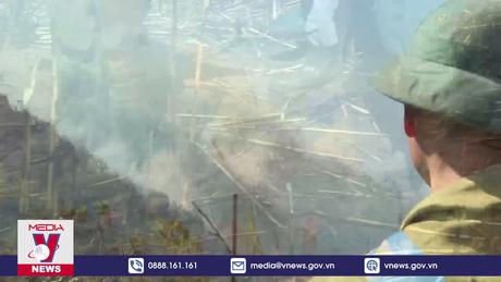 Nỗ lực khống chế cháy rừng tại Sa Pa