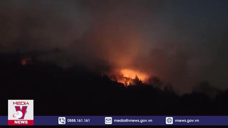 Bộ Nông nghiệp và Phát triển Nông thôn đề nghị khẩn trương dập tắt cháy rừng ở Sa Pa