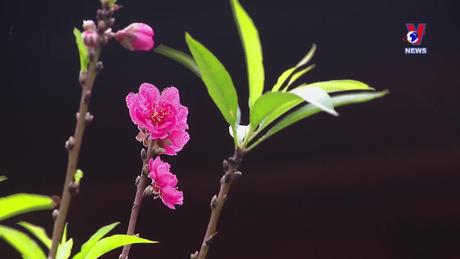 Bản tin tiếng Trung ngày 20/2/2024