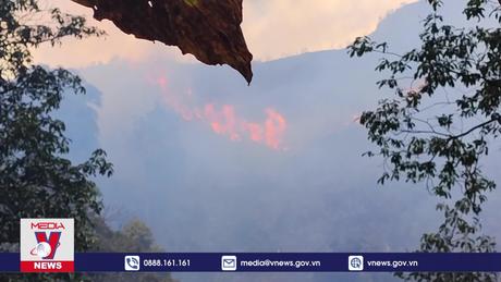 Khẩn trương xử lý dứt điểm các điểm cháy tại Vườn quốc gia Hoàng Liên