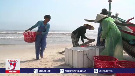 Ngư dân Quảng Bình đón lộc biển đầu năm mới 