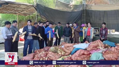 Nhiều nông sản lần đầu xuất khẩu tới thị trường khó tính