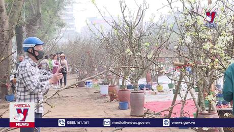 Hoa m﻿ận, Lê rừng xuống phố khoe sắc 