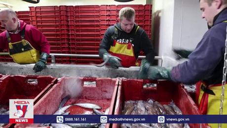 WTO đưa ra dự thảo trợ cấp nghề cá mới