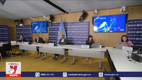 WHO quan ngại về tình trạng nhân đạo ở Dải Gaza