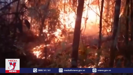 Xuất hiện điểm cháy mới tại Vườn Quốc gia Hoàng Liên