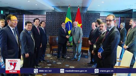 Thúc đẩy quan hệ Việt Nam và Brazil