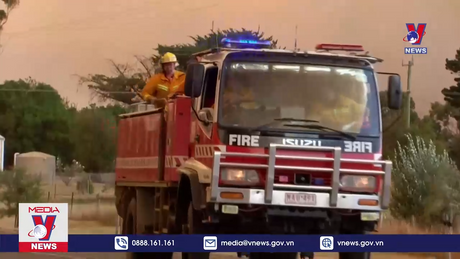 Bản tin thời sự 20h ngày 22/02/2024