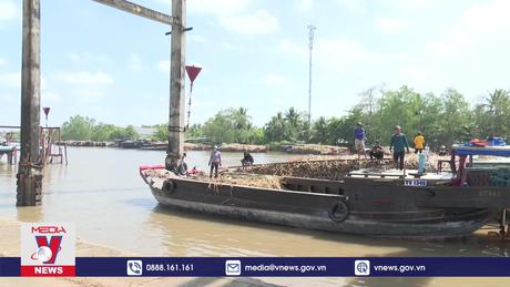 Niềm vui đầu năm mới cho người trồng mía Sóc Trăng