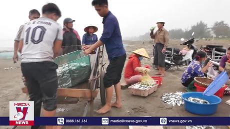 Ngư dân Diễn Châu vào mùa khai thác cá trích