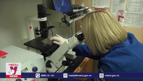 Tranh cãi việc công nhận phôi đông lạnh là trẻ em