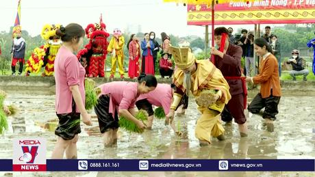 Tái hiện truyền thuyết Vua Hùng dạy dân cấy lúa