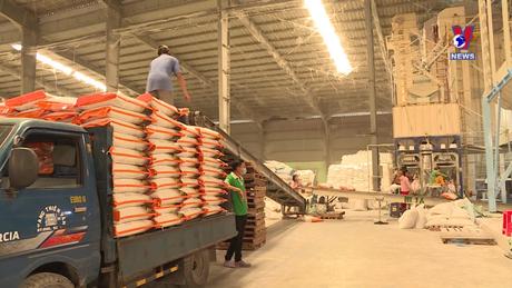 Nhật trình kinh tế ngày 24/02/2024