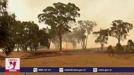 Cháy rừng tiếp tục hoành hành ở Australia