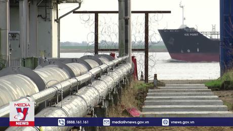 Gia tăng tình trạng thiếu tàu chở dầu trên toàn cầu