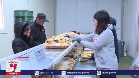 Mô hình trang trại nấm của một gia đình người Việt Nam tại Hàn Quốc