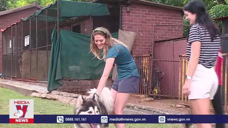 Ngày Lễ đặc biệt dành cho những chú cún bị bỏ rơi tại Nam Phi