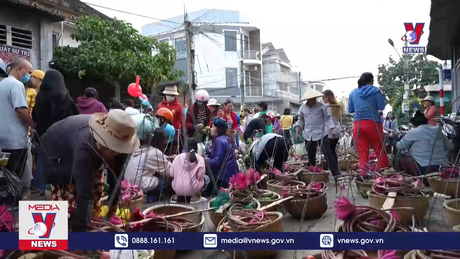 Về Tây Ninh đi chợ mua đồ bằng lá cây 