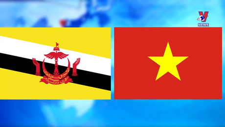 Việt Nam với bạn bè quốc tế: Thúc đẩy quan hệ Đối tác toàn diện Việt Nam - Brunei