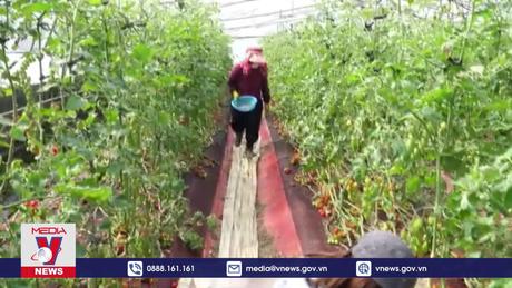 Hàn Quốc cấp phép lao động ngắn hạn cho phụ huynh du học sinh