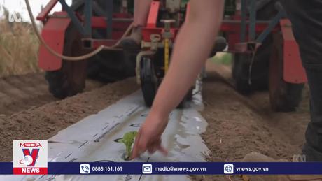 Bạt nhựa sinh học đầu tiên có thể tự phân hủy