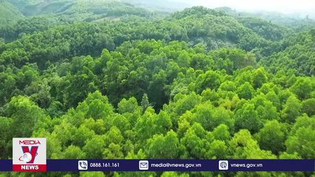 Giao 3 triệu ha rừng và nâng cao đời sống cho chủ rừng