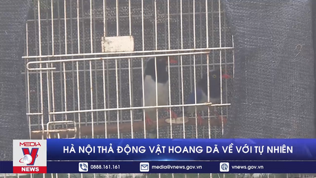 Hà Nội thả động vật hoang dã về với tự nhiên