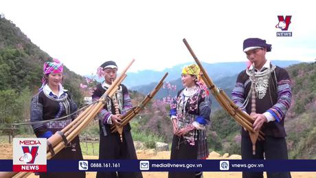 Hoa Tớ Dày và khát vọng của người Mông