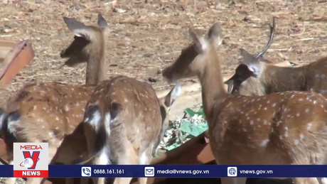 Trung tâm cứu hộ động vật hoang dã Vườn Quốc gia Bù Gia Mập