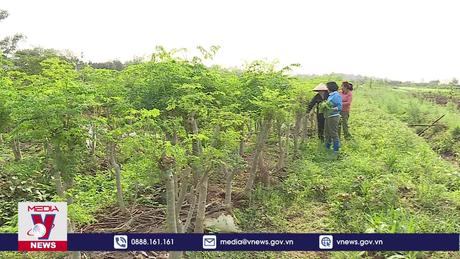 Kỳ vọng ở kinh tế tập thể trong nông nghiệp