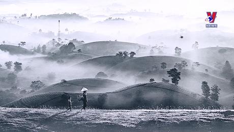 Văn hóa toàn cảnh ngày 29/02/2024