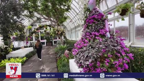Lễ hội hoa phong lan ở New York