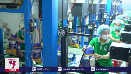 Thêm cơ hội xuất khẩu gạo sang Indonesia