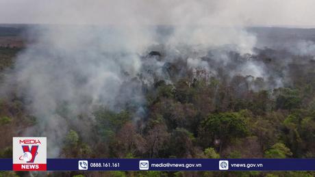 Ba nước Nam Mỹ ghi nhận lượng phát thải carbon cao kỷ lục