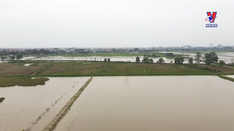 Hộp thư VNews: Người dân mong chờ dự án trường học được triển khai