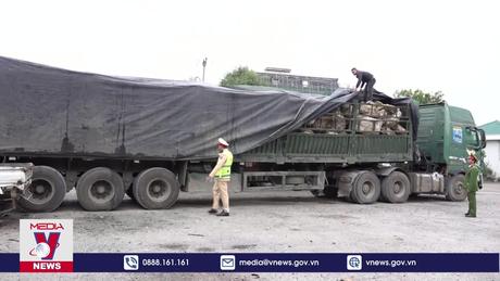 Nghệ An tạm giữ gần 500 tấn đá Thạch anh trái phép