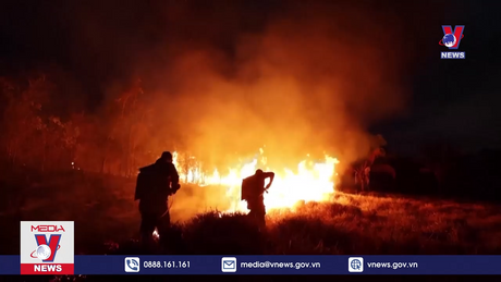 Bản tin thời sự 8h ngày 02/3/2024