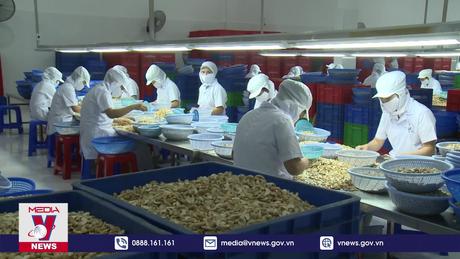 Hoa Kỳ tiêu thụ nông sản Việt nhiều nhất 