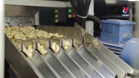 Nhật trình kinh tế ngày 02/03/2024